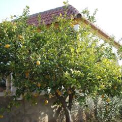 Отель Finca La Luz Bed & Breakfast фото 6