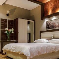 Aramis Hotel in Tehran, Iran from 137$, photos, reviews - zenhotels.com guestroom photo 3