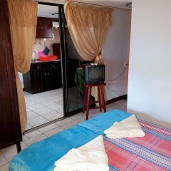 Apartamentos Cecil Paradise in Willemstad, Curacao from 197$, photos, reviews - zenhotels.com room amenities photo 2