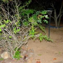 Отель Dark Horse Resort Yala пляж