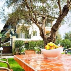 Отель Lemon Garden Villa Греция, Пефкохори - отзывы, цены и фото номеров - забронировать отель Lemon Garden Villa онлайн фото 8