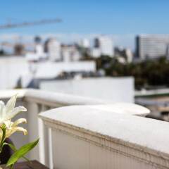 Отель Hôtel & Spa Le Doge Марокко, Касабланка - отзывы, цены и фото номеров - забронировать отель Hôtel & Spa Le Doge онлайн приотельная территория