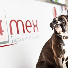 Отель 4mex hotel & living Германия, Мюнхен - отзывы, цены и фото номеров - забронировать отель 4mex hotel & living онлайн с домашними животными