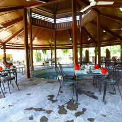 Отель Safari Adventure Lodge Непал, Саураха - отзывы, цены и фото номеров - забронировать отель Safari Adventure Lodge онлайн питание фото 3