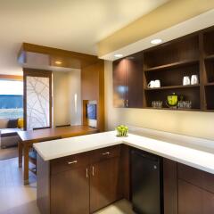 Отель Hyatt Place Washington DC/National Mall в номере