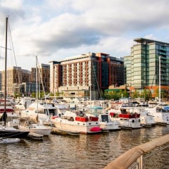 Отель Global Luxury Suites at The Wharf США, Вашингтон - отзывы, цены и фото номеров - забронировать отель Global Luxury Suites at The Wharf онлайн приотельная территория