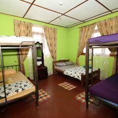 Blooms Lily Hostel детские мероприятия