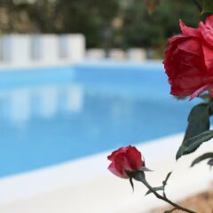 Hotel Angy Золотые пески спортивное сооружение