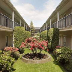 Отель Days Inn - Vancouver Metro Канада, Ванкувер - отзывы, цены и фото номеров - забронировать отель Days Inn - Vancouver Metro онлайн фото 8