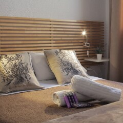 Отель Hostal Balkonis спа