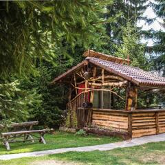 Отель Mountain Lake Hotel Болгария, Чепеларе - отзывы, цены и фото номеров - забронировать отель Mountain Lake Hotel онлайн фото 15