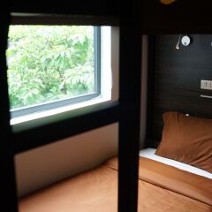 Отель V Hostel Вьетнам, Ханой - отзывы, цены и фото номеров - забронировать отель V Hostel онлайн комната для гостей фото 2