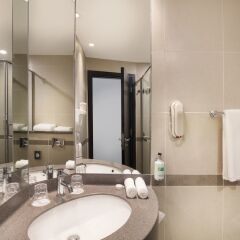Отель Holiday Inn Express Dubai Airport ОАЭ, Дубай - - забронировать отель Holiday Inn Express Dubai Airport, цены и фото номеров ванная