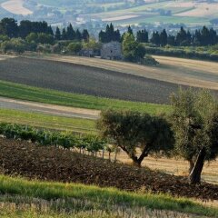 Отель Agriturismo Il Gelso Antico Италия, Реканати - отзывы, цены и фото номеров - забронировать отель Agriturismo Il Gelso Antico онлайн фото 9