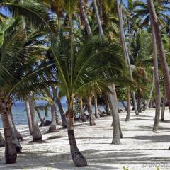 Отель Tambua Sands Beach Resort пляж фото 2