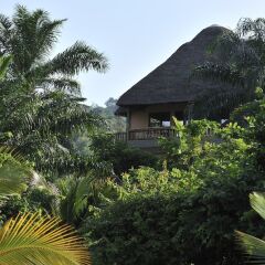 Отель Tanganyika Bluebay Resort фото 4