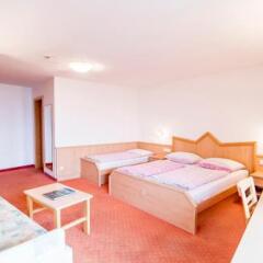 Hotel Sonnenheim Валь-ди-Вицце комната для гостей фото 5