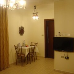Отель Al Nakheel Furnished Apartments Иордания, Солт - отзывы, цены и фото номеров - забронировать отель Al Nakheel Furnished Apartments онлайн комната для гостей фото 5