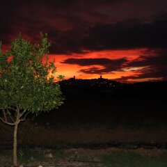 Отель Hostal Rural la Plata фото 15