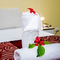 Отель Grand West's Villas Фиджи, Вити-Леву - отзывы, цены и фото номеров - забронировать отель Grand West's Villas онлайн удобства в номере