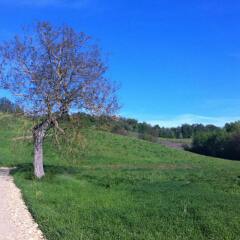Отель Agriturismo Ben Ti Voglio Италия, Болонья - отзывы, цены и фото номеров - забронировать отель Agriturismo Ben Ti Voglio онлайн
