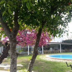Отель Hacienda El Santiscal - Adults Only Испания, Аркос -де-ла-Фронтера - отзывы, цены и фото номеров - забронировать отель Hacienda El Santiscal - Adults Only онлайн детские мероприятия фото 2