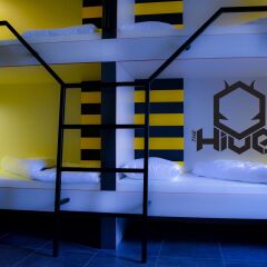 The Hive Party Hostel детские мероприятия