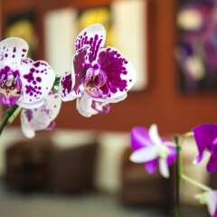 Отель Torre De Cali Plaza Hotel Колумбия, Кали - отзывы, цены и фото номеров - забронировать отель Torre De Cali Plaza Hotel онлайн фото 17