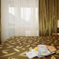 Hotel Festa Chamkoria комната для гостей фото 3