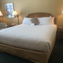 The Terrace Hotel Lakeland, Tapestry Collection by Hilton in Lakeland, United States of America from 278$, photos, reviews - zenhotels.com guestroom