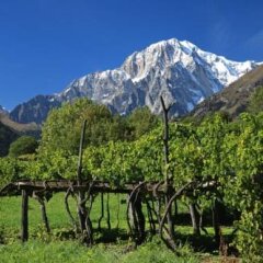 Mont Blanc Hotel Village фото 15