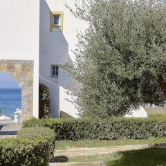 Top Countryline Alexander Beach Hotel & Village Crete Malia фото 14