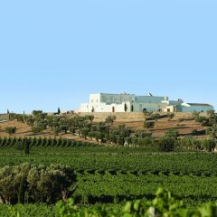 Отель Masseria Amastuola Wine Resort Криспьяно фото 11