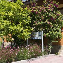 Hotel Ozlem Garden - All Inclusive фото 17