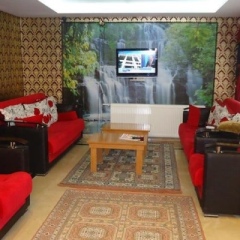 Altun Hotel интерьер отеля фото 3
