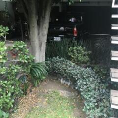 Отель Hostal Cuija Coyoacan Мексика, Мехико - отзывы, цены и фото номеров - забронировать отель Hostal Cuija Coyoacan онлайн фото 5