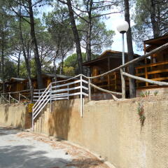 Отель Camping Santa Elena Ciutat Испания, Льорет-де-Мар - отзывы, цены и фото номеров - забронировать отель Camping Santa Elena Ciutat онлайн приотельная территория