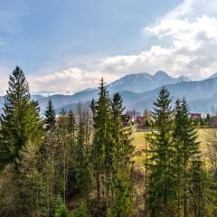 Отель Butorowy Residence Польша, Косцелиско - отзывы, цены и фото номеров - забронировать отель Butorowy Residence онлайн