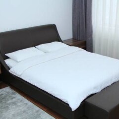 Отель Bishkekpark Residence Кыргызстан, Бишкек - отзывы, цены и фото номеров - забронировать отель Bishkekpark Residence онлайн комната для гостей фото 4
