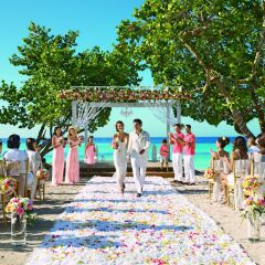 Отель Dreams Dominicus La Romana All Inclusive