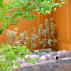 Отель Yufuin Ryokan Seikoen Хидзи фото 13