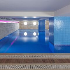 Отель Mercure Istanbul The Plaza Bosphorus с домашними животными