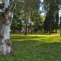 Ele Green Park Hotel Pamphili с домашними животными