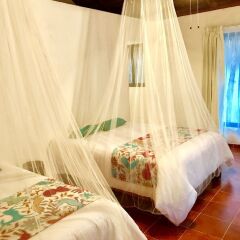 Ecovergel Riviera Maya Hotel Boutique комната для гостей