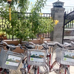 Отель The Field Homestay Hoi An спортивное сооружение
