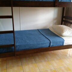 Alice Semporna Backpackers Hostel комната для гостей