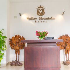 Отель Valley Mountain Hotel Вьетнам, Вунгтау - отзывы, цены и фото номеров - забронировать отель Valley Mountain Hotel онлайн интерьер отеля фото 3