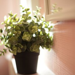 Olipm Hostel интерьер отеля фото 2