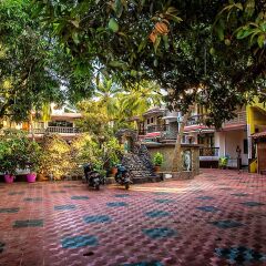 Отель Sea View Resort Индия, Гоа - отзывы, цены и фото номеров - забронировать отель Sea View Resort онлайн фото 7