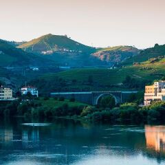 Отель Vila Galé Douro Португалия, Ламего - отзывы, цены и фото номеров - забронировать отель Vila Galé Douro онлайн фото 3